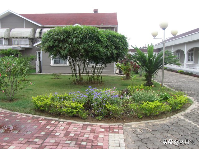 园林绿化是国家战略，利润很高，了解行业标准财富滚滚来(图2)