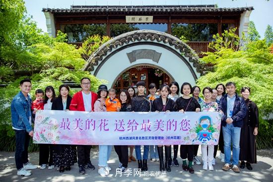 记录2020第八届杭州西湖月季花精品展掠影(图4)