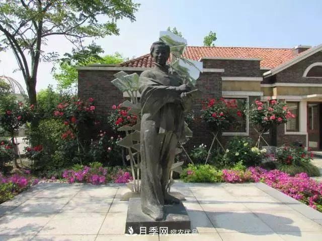 蒋恩钿带领中国月季走向世界，被称为月季夫人(图4)