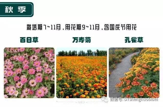 苗木必备基本常识手册(图21)