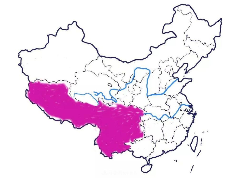 月季的前世今生：假如中国月季没有传入欧洲(图10)