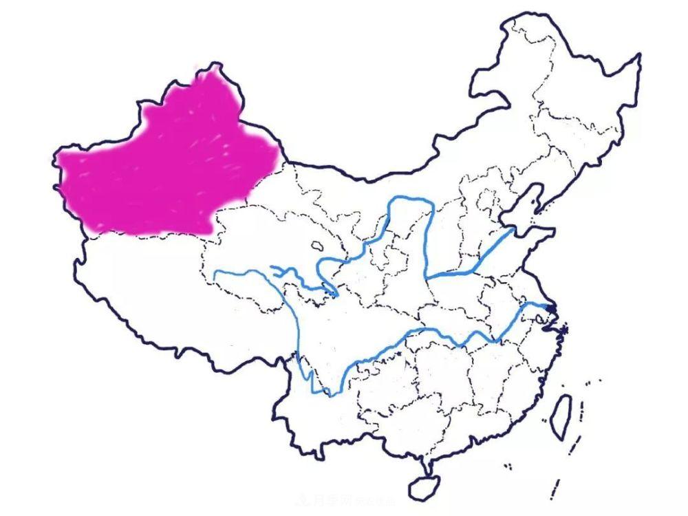 月季的前世今生：假如中国月季没有传入欧洲(图15)