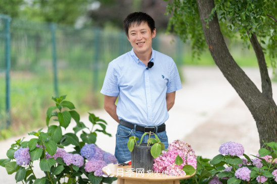 听天狼细说月季的现在与未来(图1)