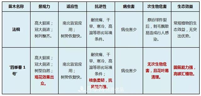 苗木产品的价格、价值和供需，三角关系之动态平衡(图3)