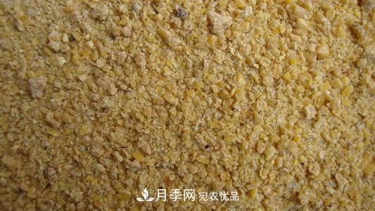 9月又到换盆时，盆里加点“特殊料”，怎么养都爆盆(图2)