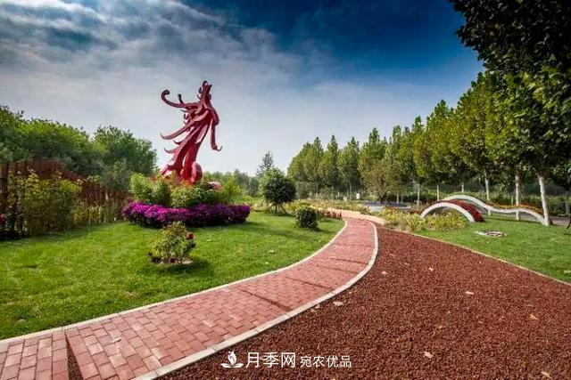 北京大兴魏善庄月季小镇千余种月季进入盛花期(图1)