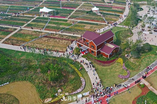 月季产业国家创新联盟(图2)