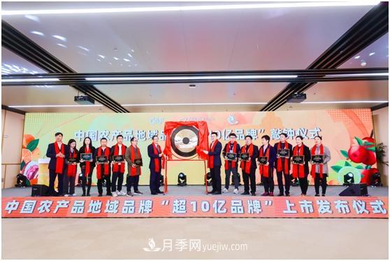 阿里巴巴“农交所”敲钟 20个农产品地域品牌价值超5300亿(图1)