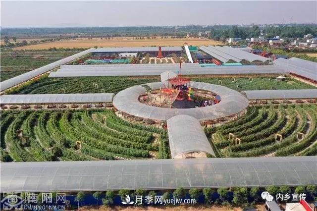 游玩好去处！内乡县灌涨镇欧月花海风情园盛妆开园(图1)