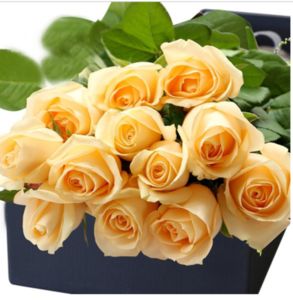 切花月季的十个养护技巧，全了(图3)