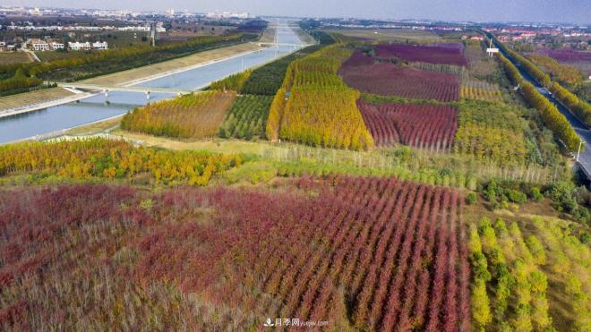 南水北调 秋来渠首 秋绿淅川(图1)