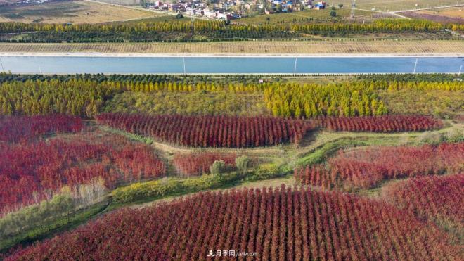 南水北调 秋来渠首 秋绿淅川(图5)