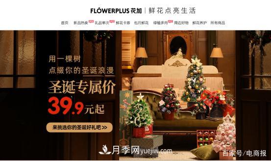 亚洲最大花卉小镇：昆明斗南玫瑰4毛一支，年销70亿！(图4)