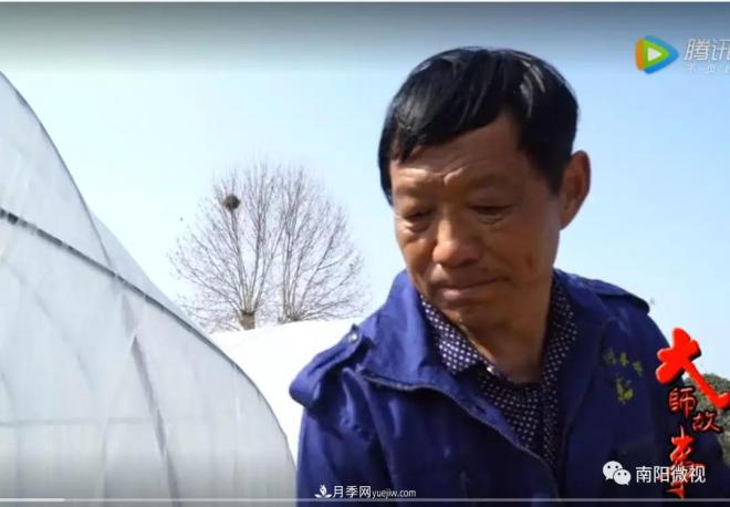 南阳月季大师——王怀青(图1)