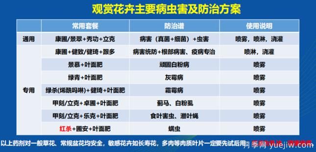 如何提高景观花卉高发虫害的防治效果？(图1)