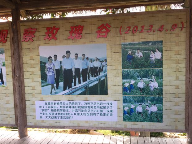 月季名园：三亚亚龙湾国际玫瑰谷(图3)