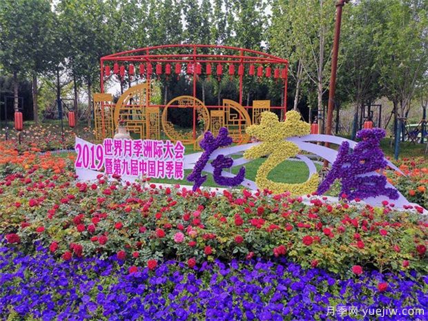 月季名园：南阳世界月季大观园(图4)