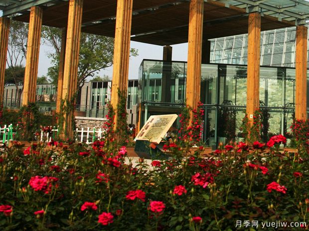月季名园：沈阳世博园玫瑰园(图1)