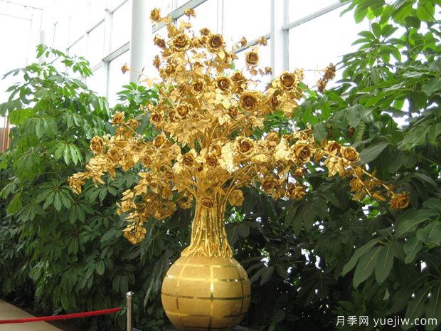 月季名园：沈阳世博园玫瑰园(图2)