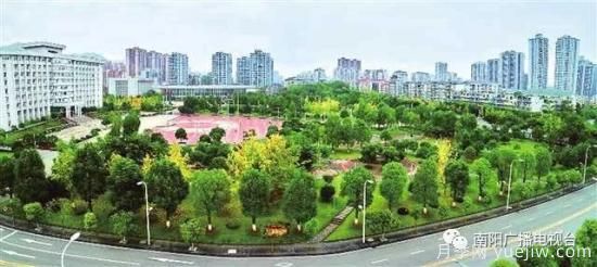 百万月季进城，南阳全力以赴创建国家生态园林城市(图3)