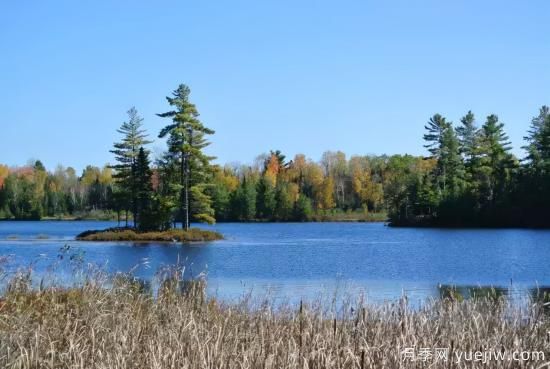 12个月份的园林设计与养护技术要点(图3)