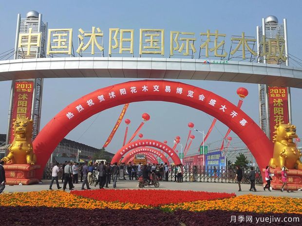 花木城：江苏沭阳国际花木城(图1)