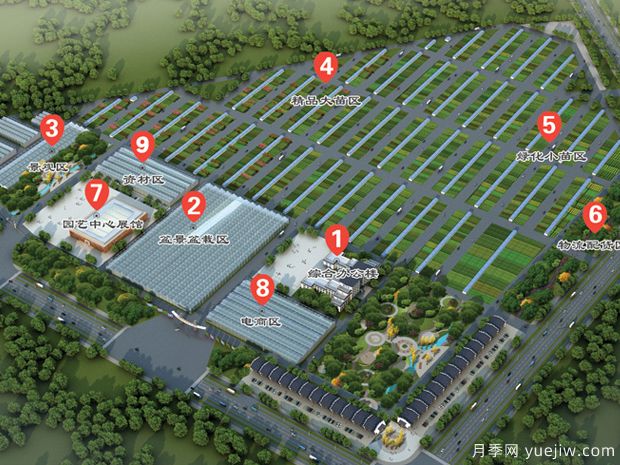 花木城：江苏沭阳国际花木城(图2)