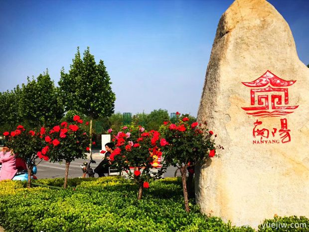 推广南阳月季，面向全国发展(图2)