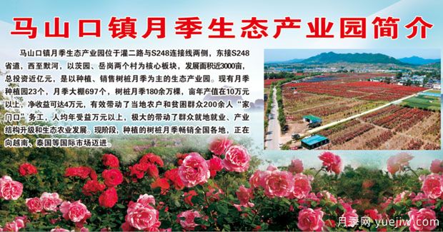 南阳内乡马山口镇月季生态产业园(图1)