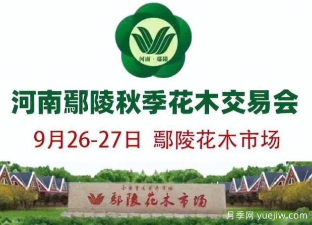 9月26日河南鄢陵第十届秋季花木交易会举办(图1)