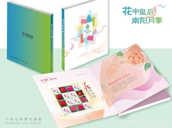 “国家名片”上绽放南阳月季(图1)