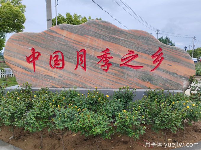 景石在项目中的应用(图3)