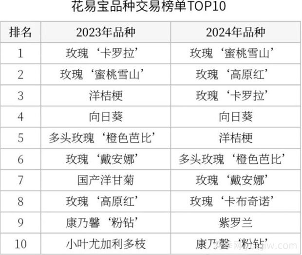 云南鲜切花产业，一起期待光明的到来(图3)