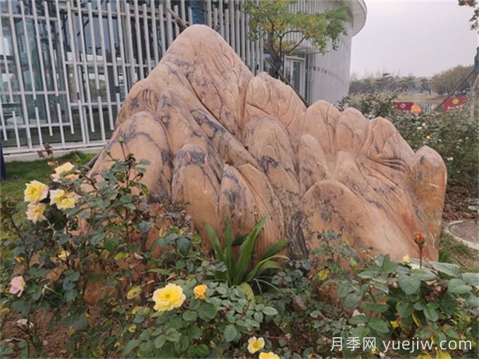 庭院中景观置石怎么选?(图1) 庭院中景观置石怎么选?(图1)