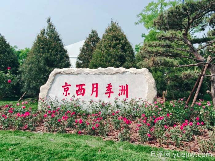 月季名园：北京京西月季洲(图1)
