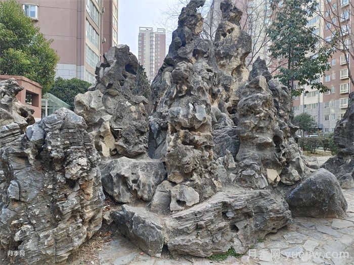 庭院十大常用景观置石(图1)