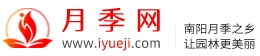 月季网的官网地址是什么？www.iyueji.com(图1)