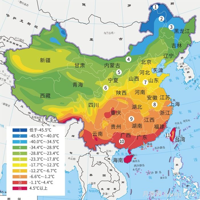 一个冬天小苗变大苗？月季小苗到货后应该做什么？(图2)