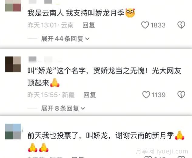 云南新品种月季征名，娇龙遥遥**！(图2)