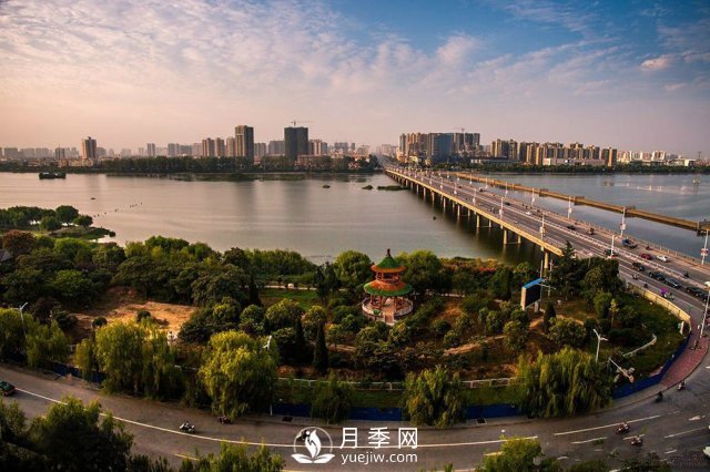 南阳50强企业名单：牧原食品第2，仲景宛西第8(图1)