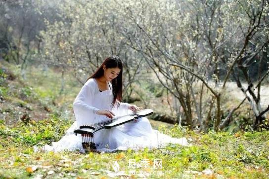 四川南充月季花海迎来1000㎡粉色沙滩，4月3日浪漫迎客(图9)