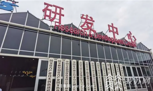 江苏宿迁快繁科技培育月季 带领村民致富奔小康(图2)