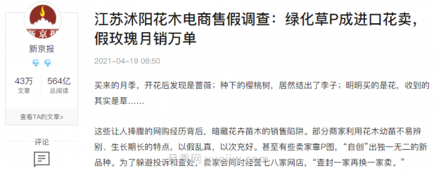 重拳出击！江苏沭阳“打假”扣押苗木10万余株(图5)