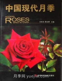 月季图书：王世光，薛永卿《中国现代月季》(图2)