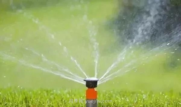 园林常用的4种节水灌溉技术(图2)