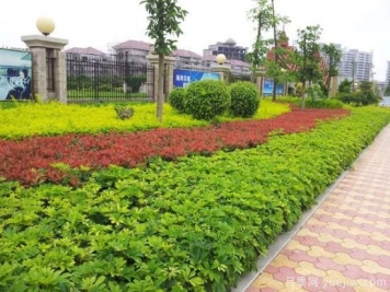 施工说明有哪些？园林绿化施工组织设计内容包括哪些？