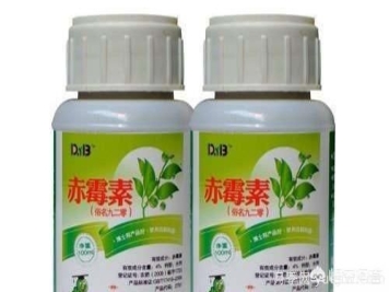 常见的花卉生长调节剂都有哪些？它们都起什么作用？