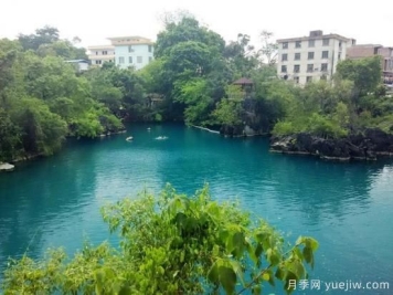 绿化带植物红色叶子有什么，绿化带植物有哪些？