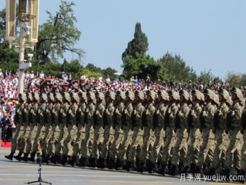 香槟玫瑰的花语是什么意思？
