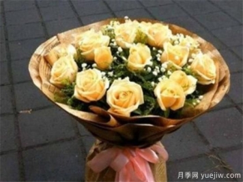 香槟玫瑰怎么养 香槟玫瑰的养殖方法和注意事项